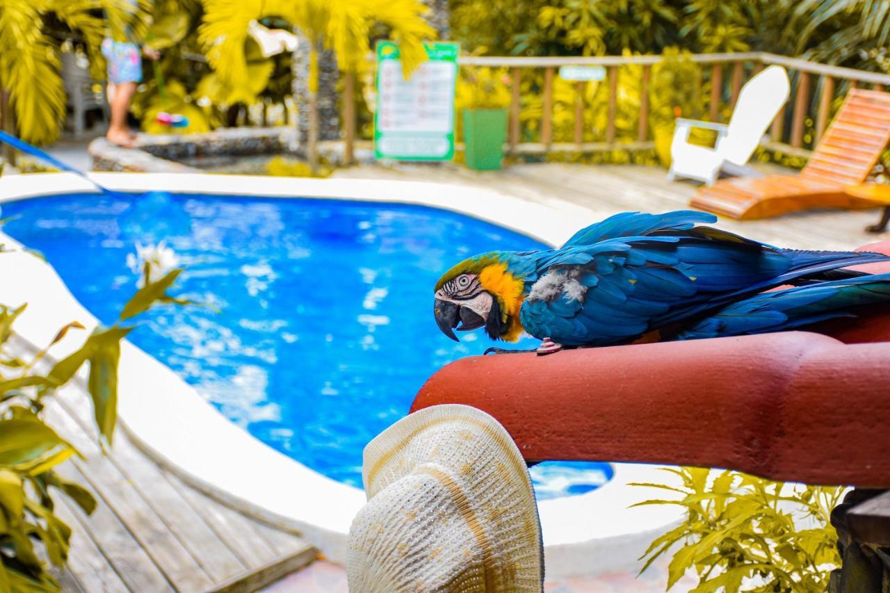 אל סאינו Casa Hostal Villa Del Rio מראה חיצוני תמונה